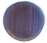 diadem-string-evolution-cross-section