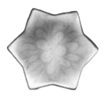 diadem-string-solstice-black-cross-section